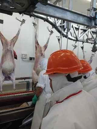 Personal durante el proceso industrial halal