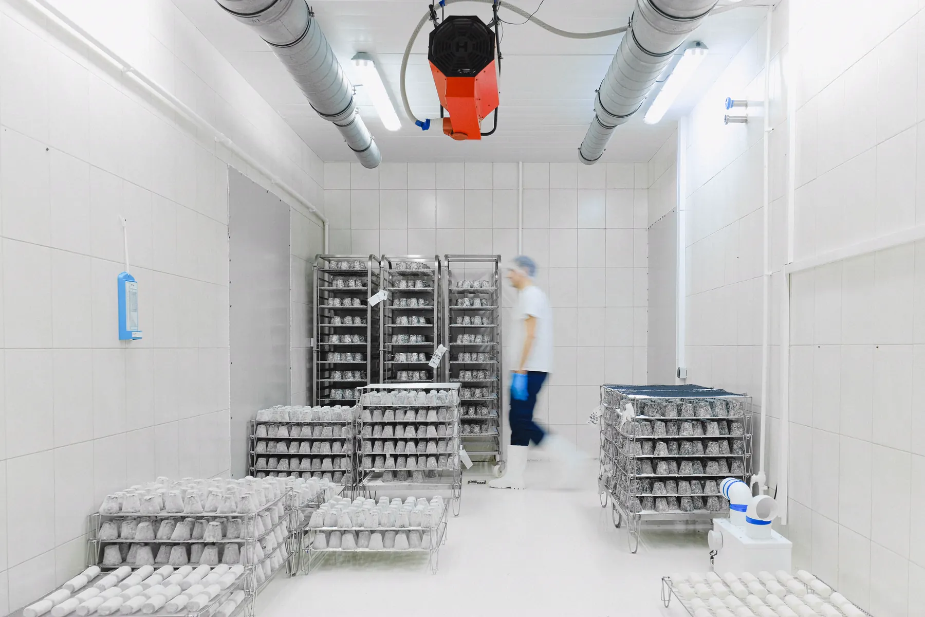 Trabajador dentro de una sala de almacenamiento con control térmico